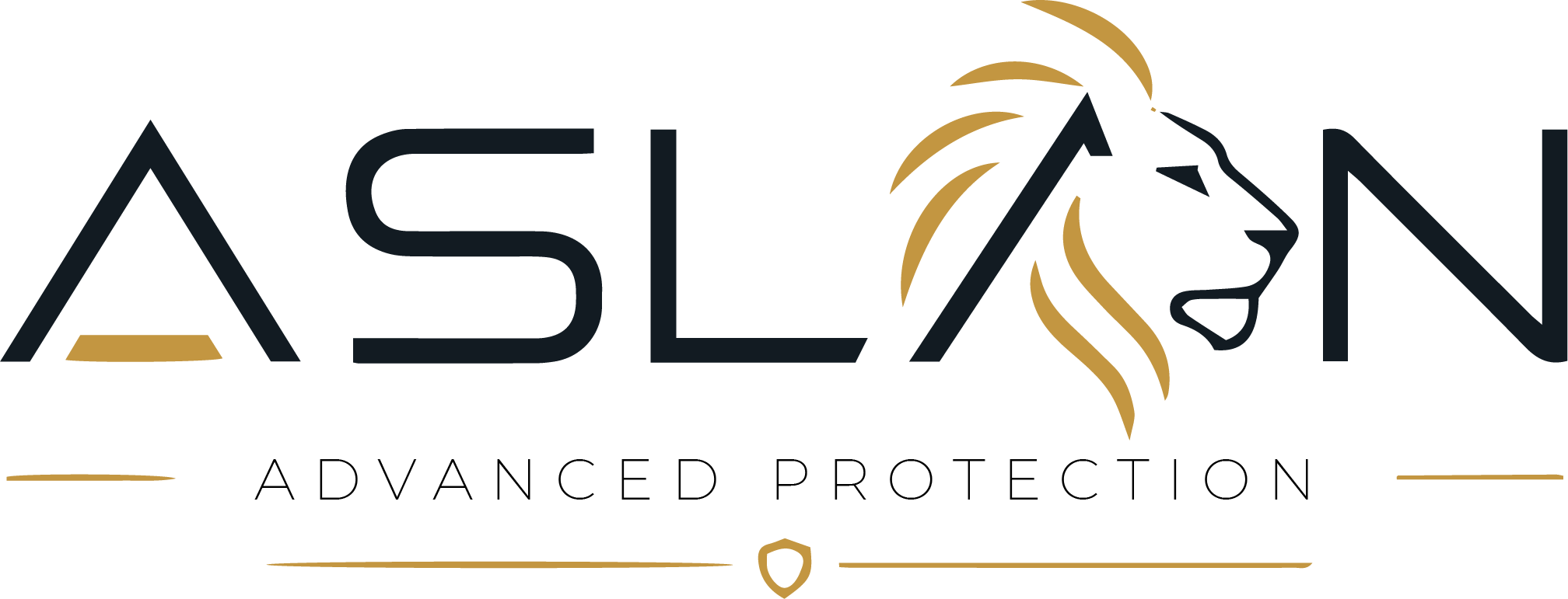 Aslan Security